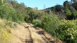 Stockton Creek Trail View
