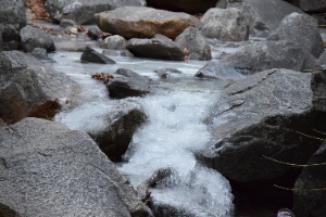 Bridalveil Creek