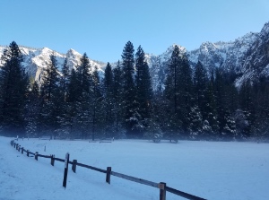 Bridalveil Meadow under snow