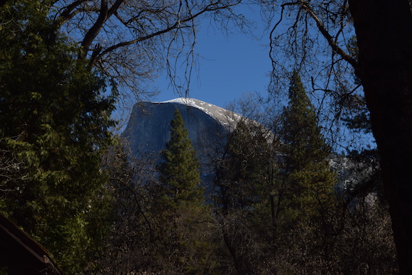 Half Dome seen from Yosemite Village