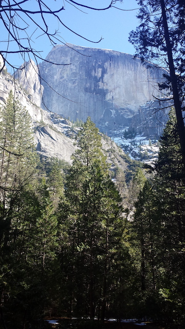 Half Dome as viewed from Mirror Lake