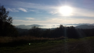 Foggy Central Valley