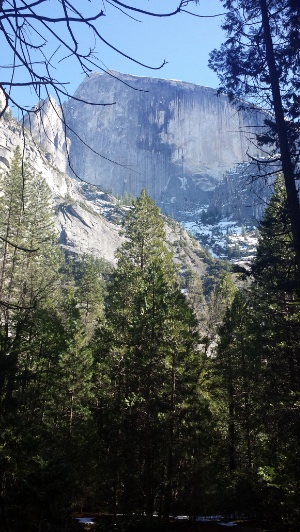 Half Dome from Tenaya Creek Bridge