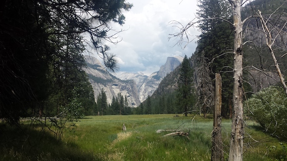 Leidig Meadow in Yosemite Valley