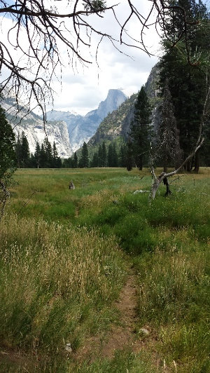 Valley Meadow and Half Dome