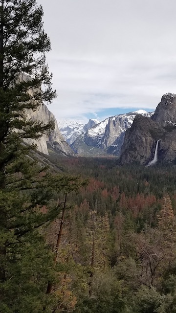 Yosemite Valley seen from Tunnel View