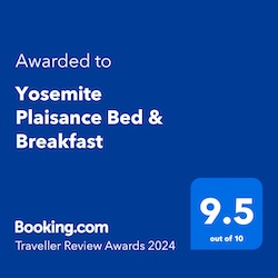 Booking.com 9.5 Rating Award