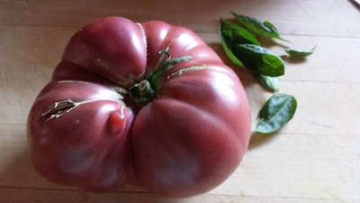 Fresh Purple Tomato